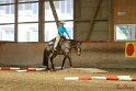 26-ApHC GT_163